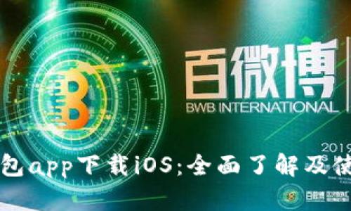 华为钱包app下载iOS：全面了解及使用指南