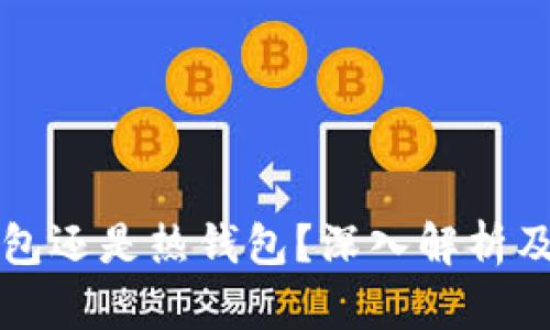 TP钱包是冷钱包还是热钱包？深入解析及其安全性分析