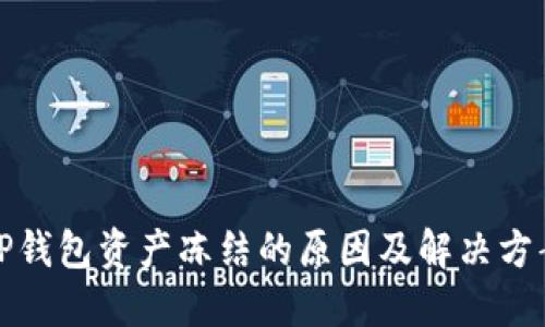 TP钱包资产冻结的原因及解决方案