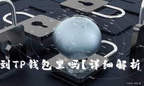 FIL可以放到TP钱包里吗？详细解析与使用指南