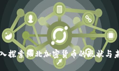 深入探索缅北加密货币的现状与未来